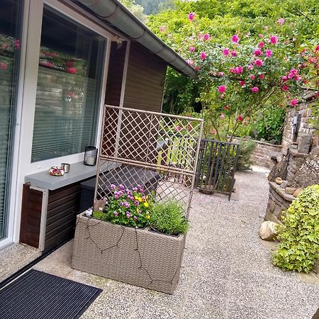 Ferienwohnung Lavendel 코헴 외부 사진