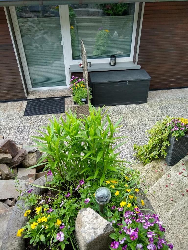 Ferienwohnung Lavendel 코헴 외부 사진